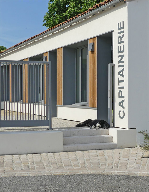 Capitainerie chien 240523