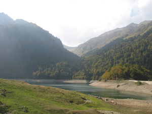IMG_3011