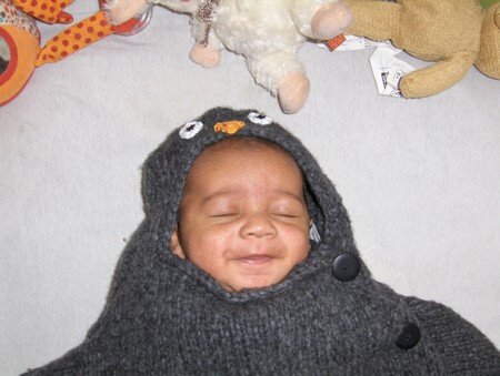 Elijah_dans_son_nid_d_ange_pingouin_2