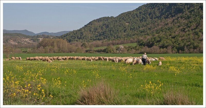 Aragon GA 170413 7 troupeau berger