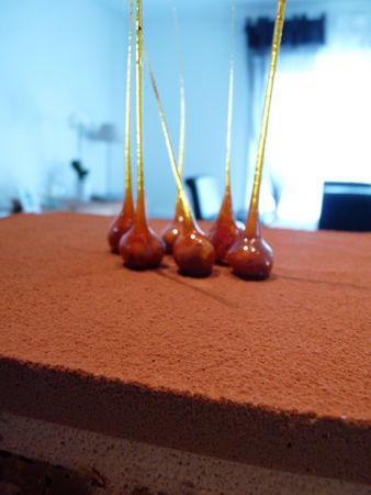 Entremets aux deux chocolats en duo... recettes Entremets aux deux chocolats en duo...