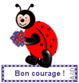 sant__courage_coccinelle_FLyne