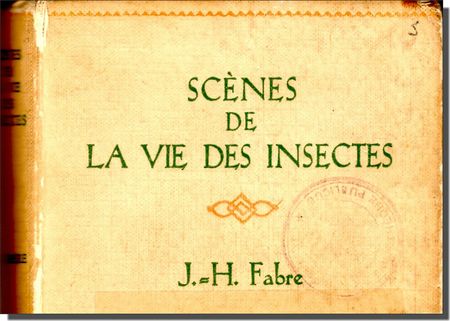 Fabre vie insectes