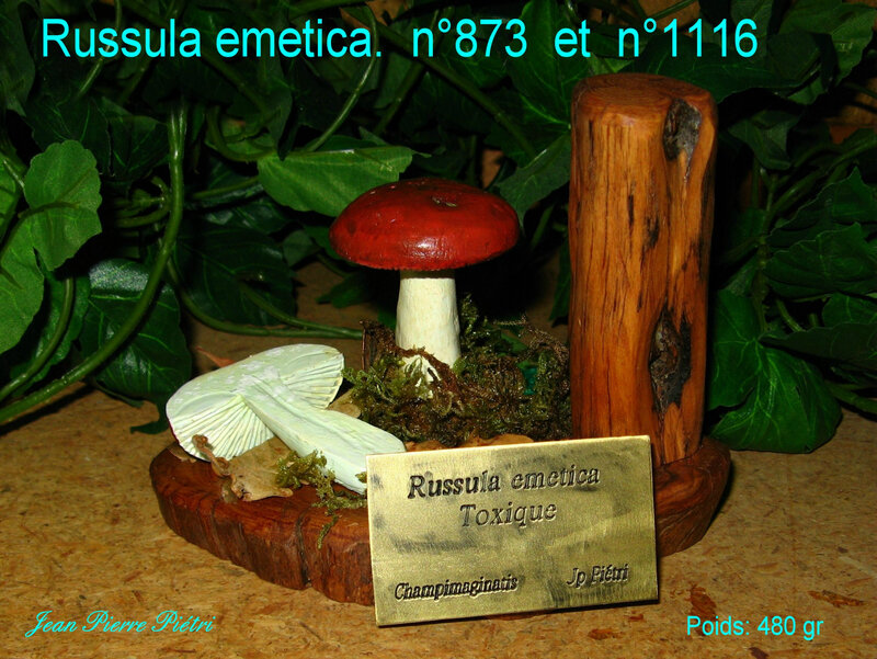 Russula emetica S