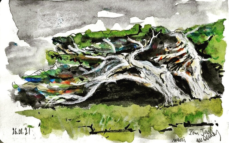 Arbres pliés