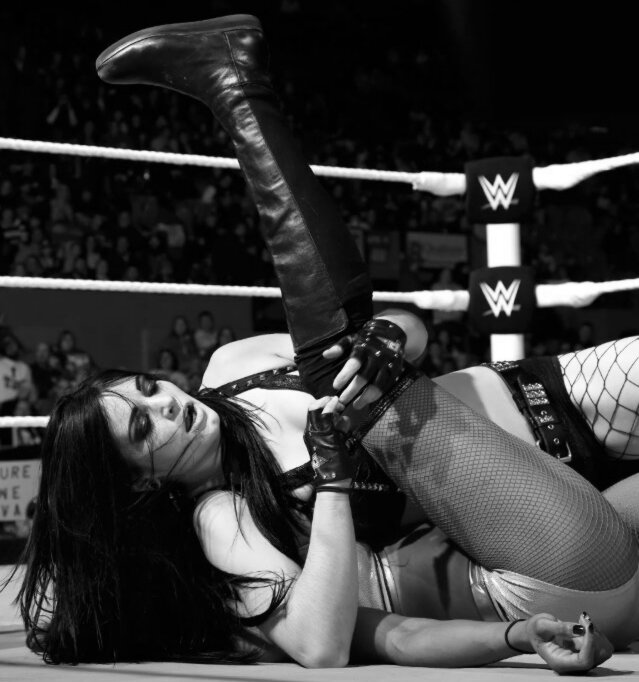 paige vs alicia fox WWE Superstars 20 novembre 2014;;