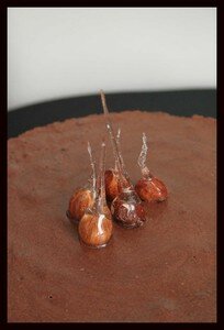 entremet_choco_4