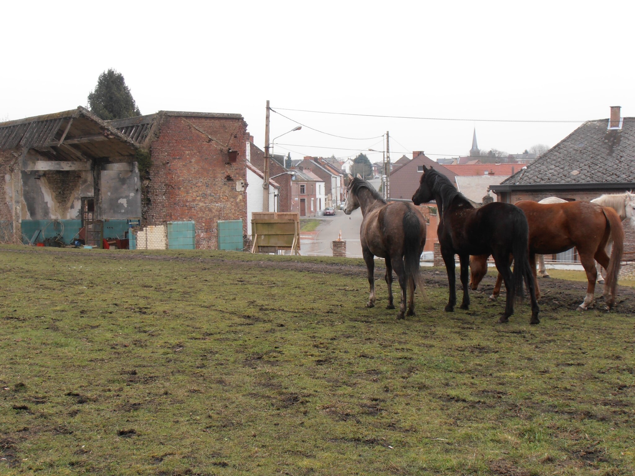 Marcasse - 20130325_12