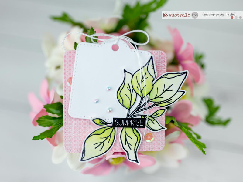 australe-scrap-carte-etiquette-anniversaire-shaker-mandala-feuillages-aquarelle_DSC4989-Modifier-7