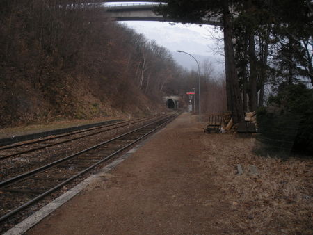 Vif2