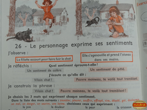 muluBrok De l'image à la phrase (11)