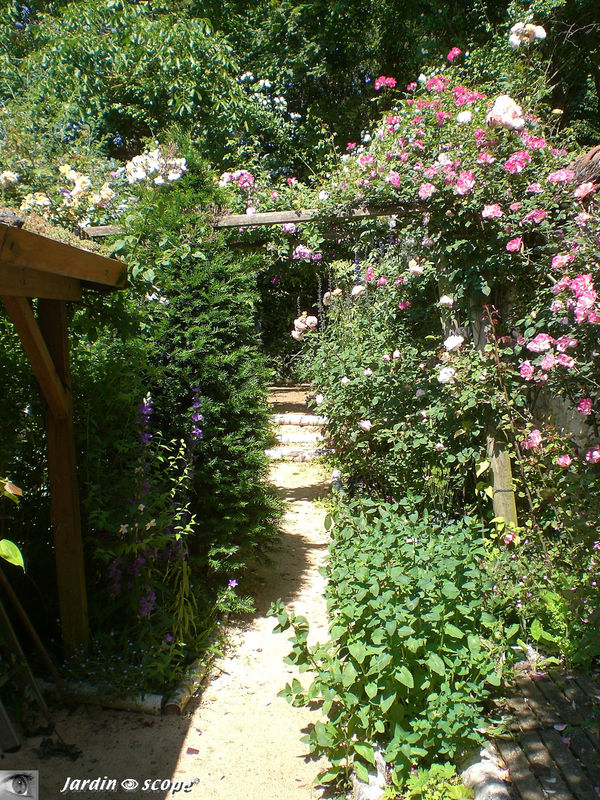 Autour de la cabane de jardin au toit végétalisé…