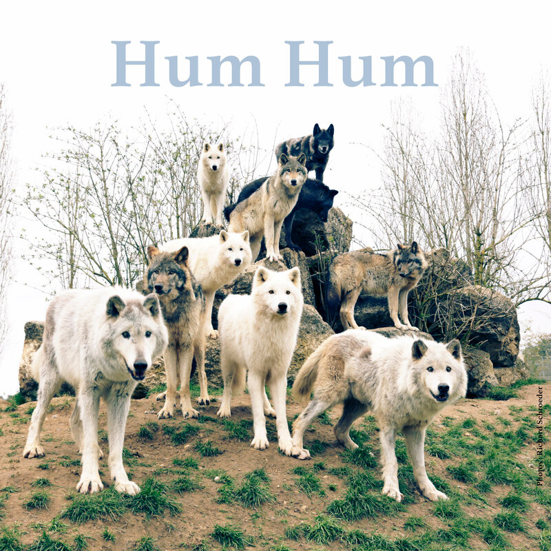 humhum_EP_cover