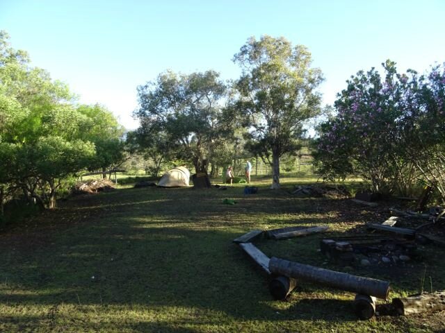 DSC03331