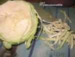 Salade_vend_enne_au_chou_blanc_du_jardin_025