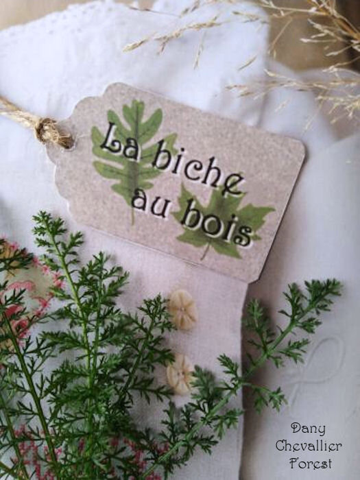 la biche au bois5