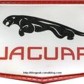 Un jaguar dans votre estomac