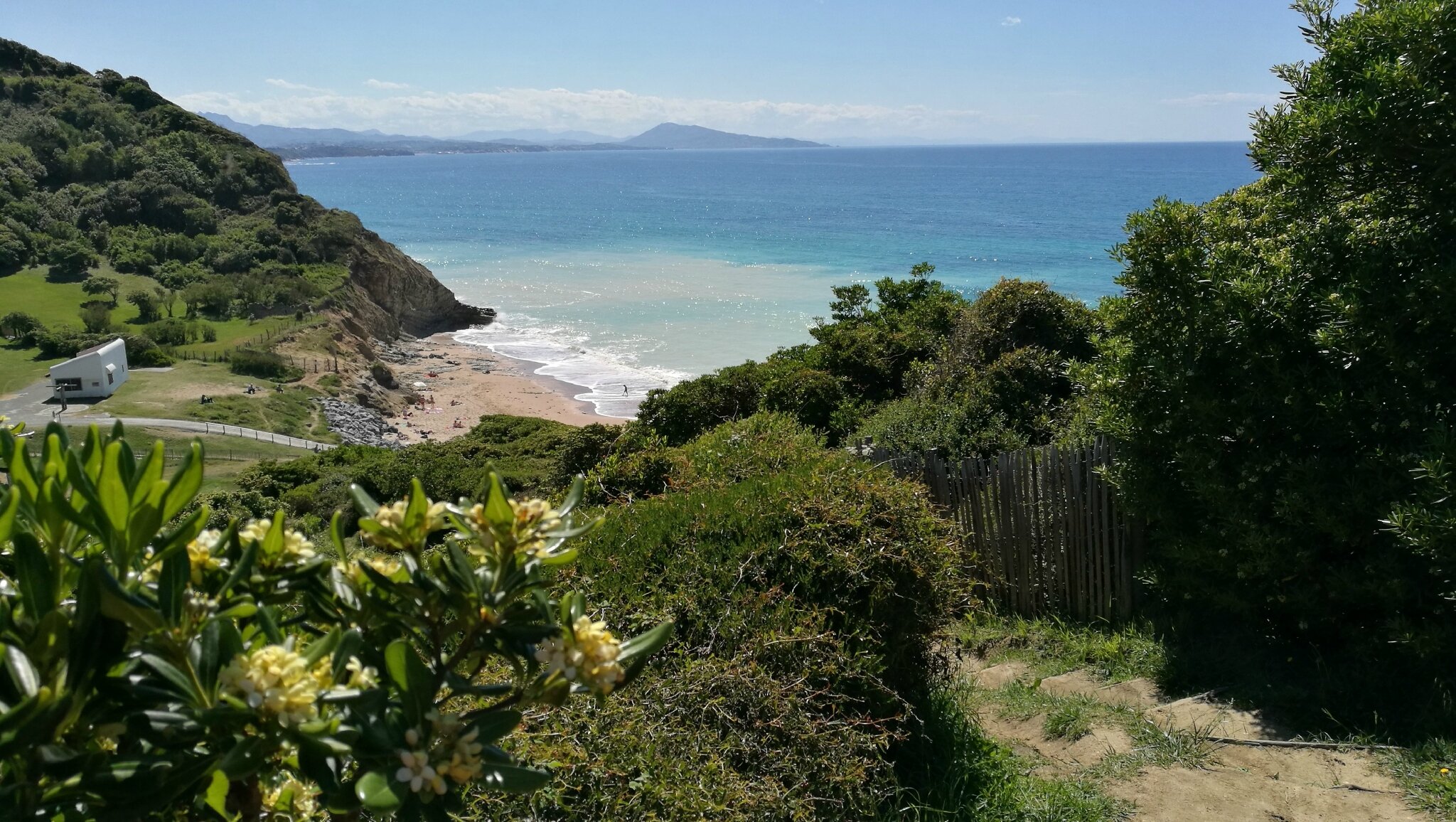 Bidart, plage d'Erretegia, sentier, mai 17 (64)