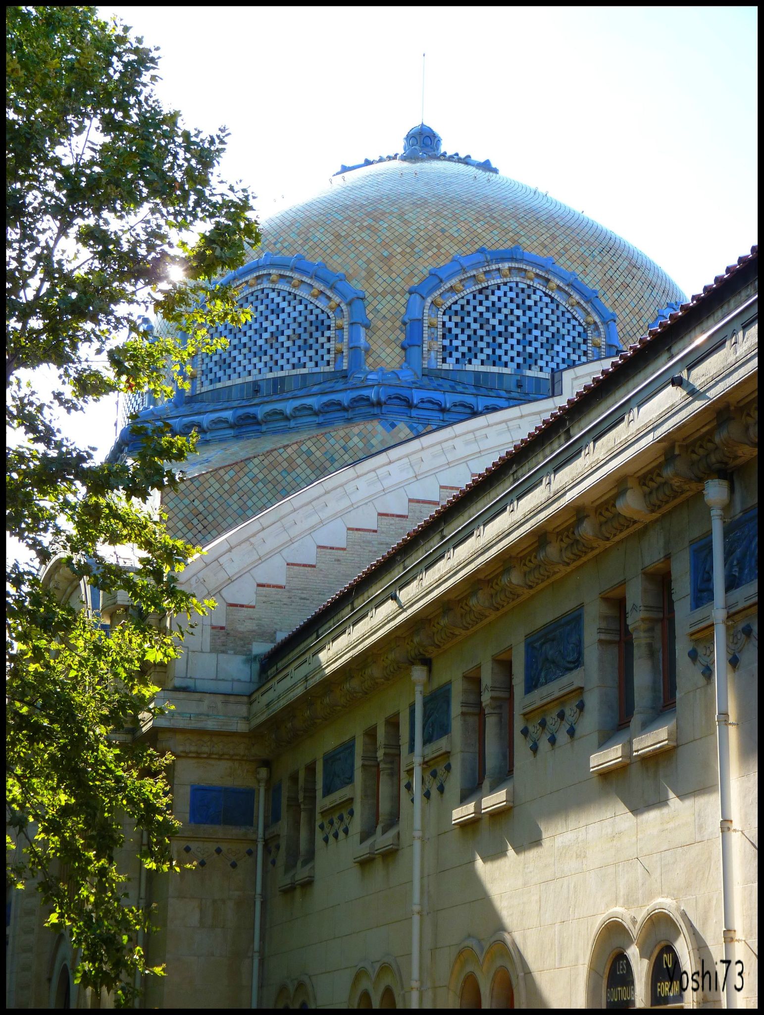 P1030603