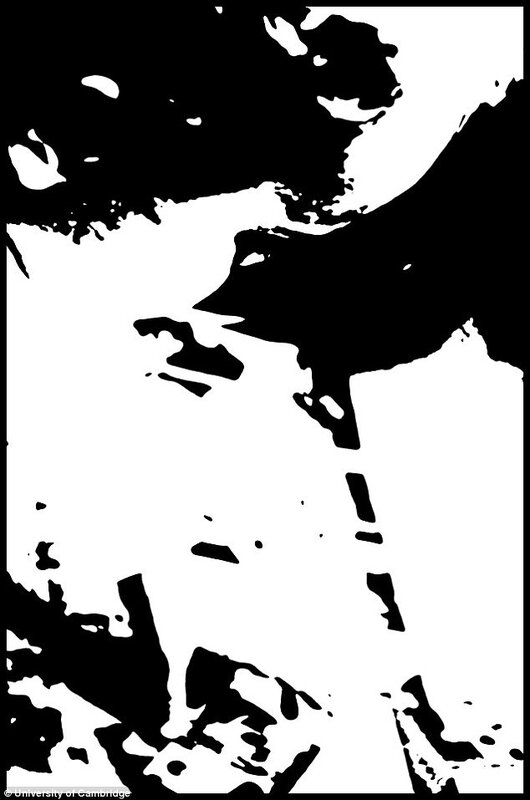 2175309-inline