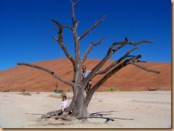 Parc du Namib, Sossusleiv (35)