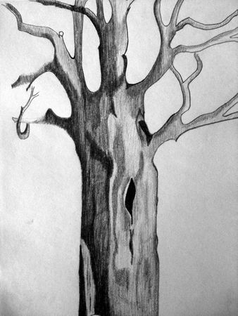 ARBRE 2