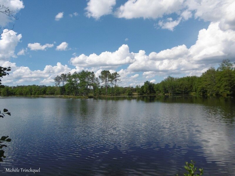 1-Etang de la Glacière 140517