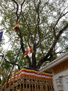 Anuradhapura_052