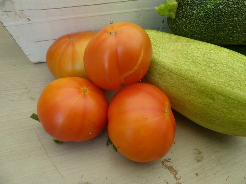 23-tomates