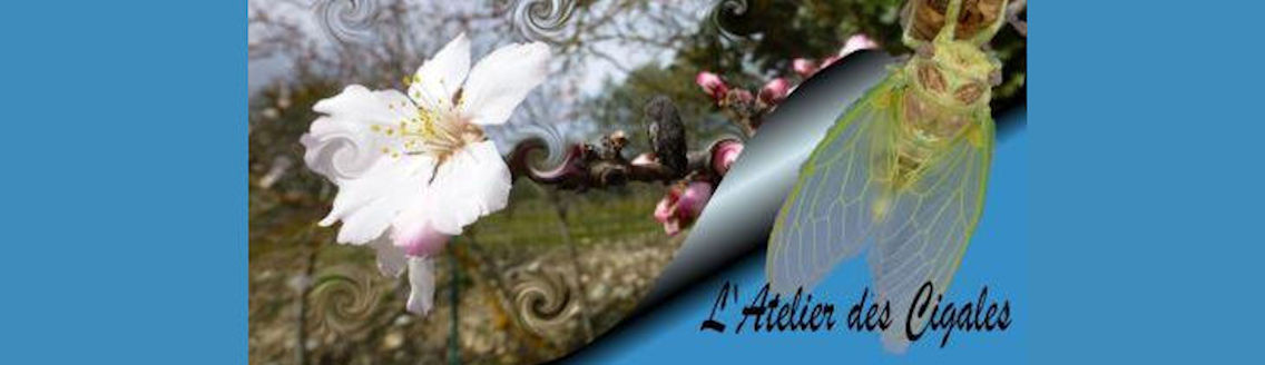 L'Atelier des Cigales