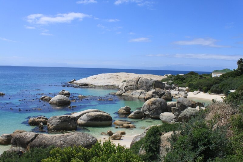 Cape Town The boulders 6
