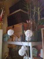20190216_081243