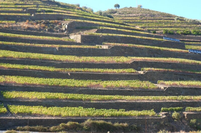 Vallee du Douro 215