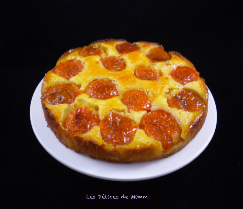 Le gâteau aux abricots super moelleux 4