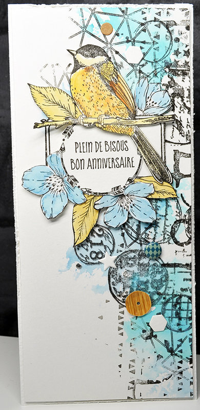 BLOGOREL