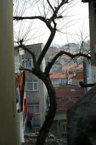 istanbul_8janvier2005_023
