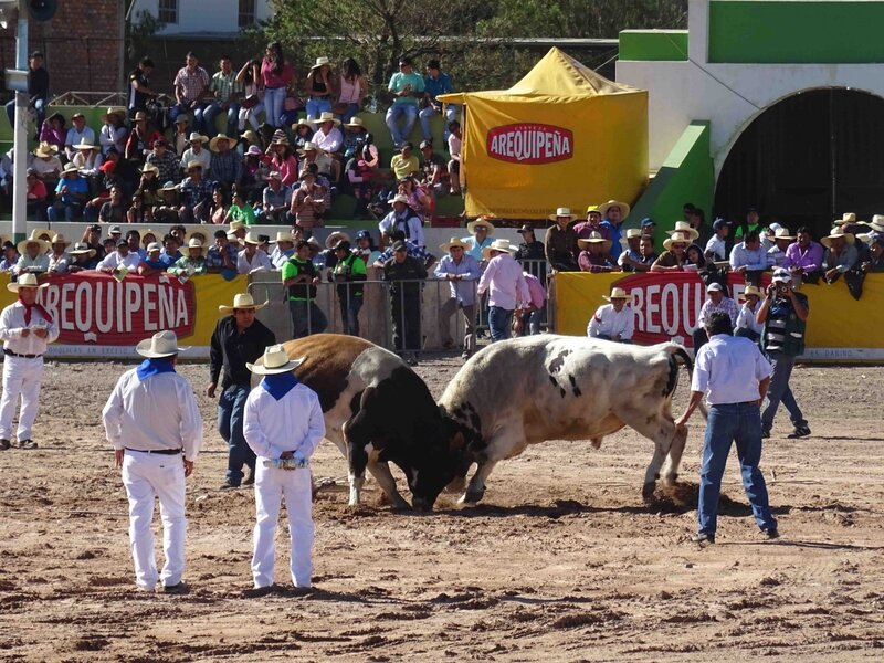DSC02137 - copie