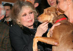 brigitte_bardot_chien_reference