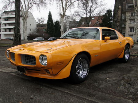 PONTIAC Firebird 250 Coupe 1973 Retrorencard 1