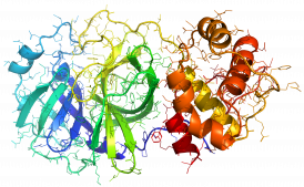 Coronavirus_2019-nCoV