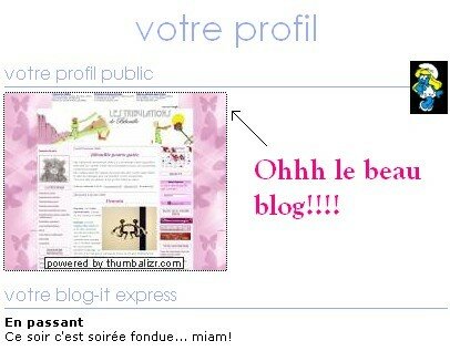 bibouille_blog