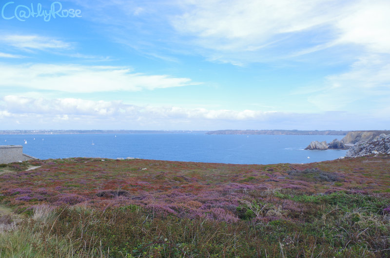 && pointe du Toulinguet (7)