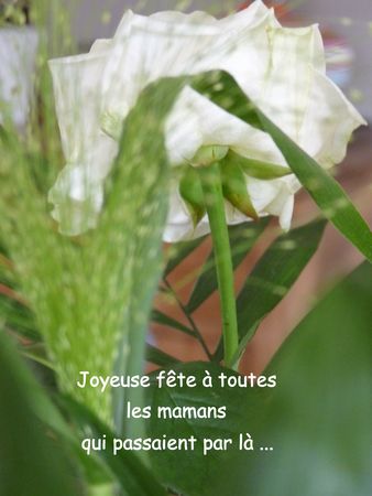 fete_mamans