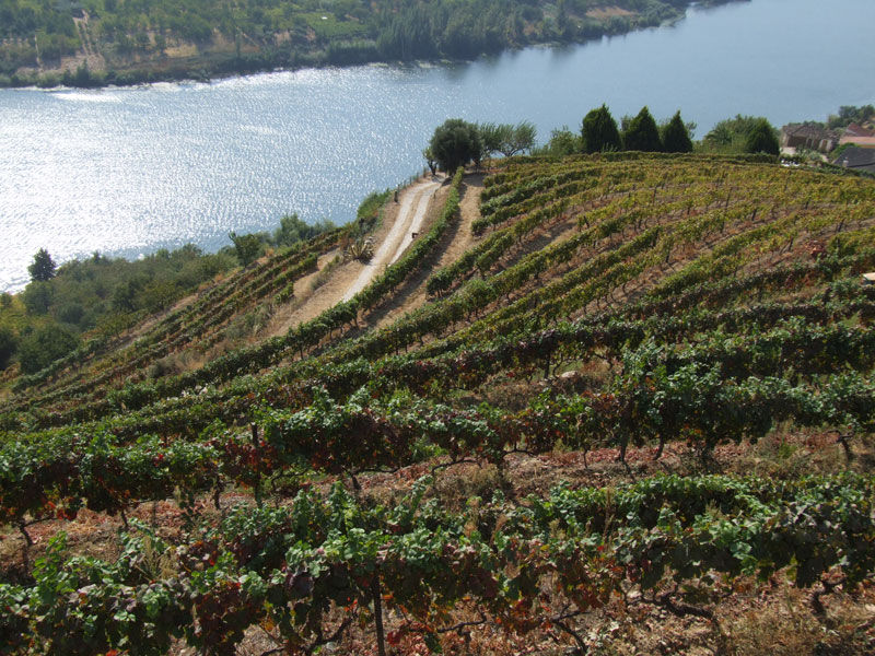 Douro_03