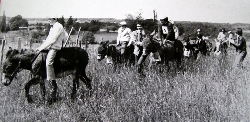 course aux ânes