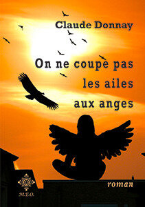 ailes-anges-1c