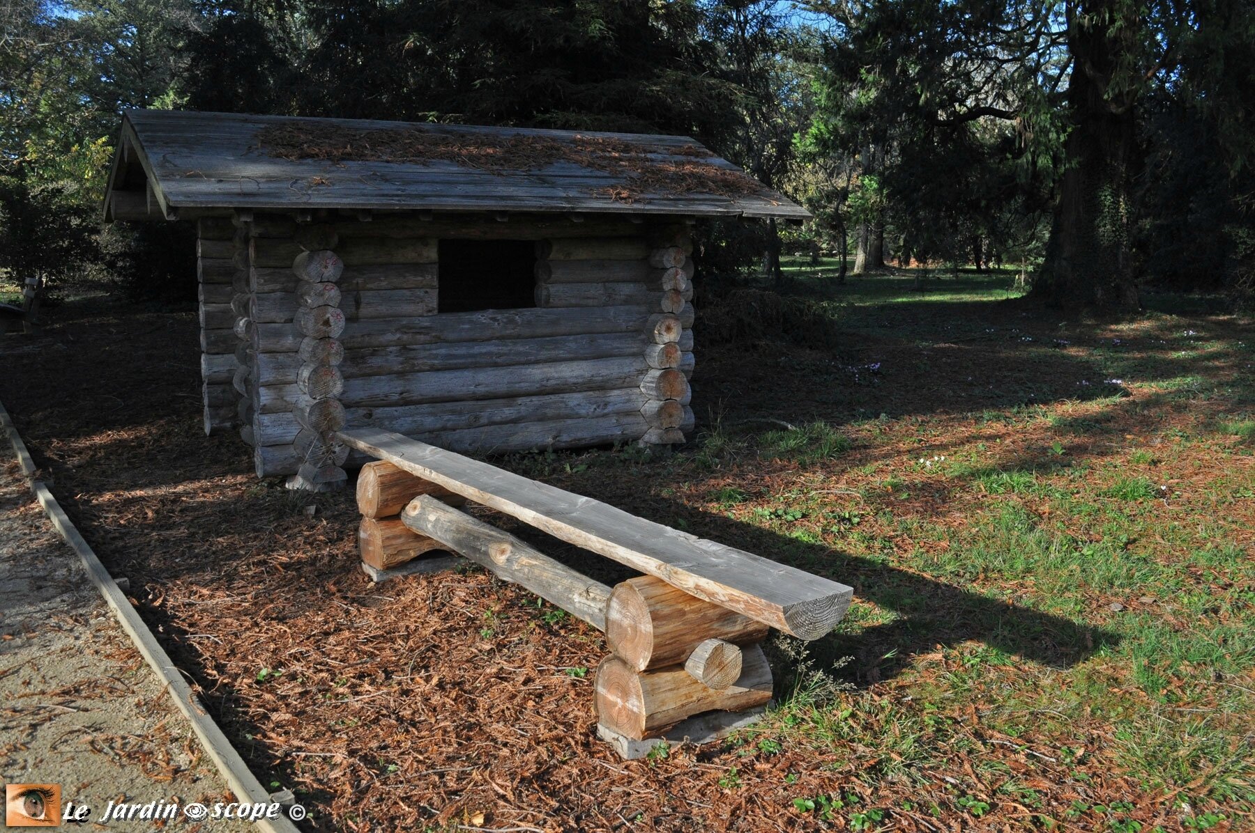 Banc en bois dans l'Arboretum des Barres (Loiret)