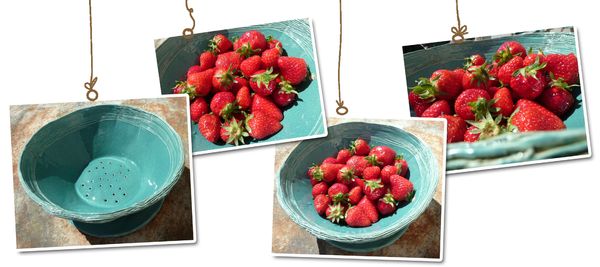 fraise B