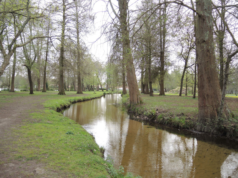 Soustons, pointe des Vergnes, rivière (40)