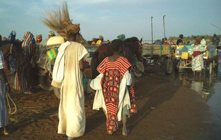 la traversée du Bani au retour du marché de DJENNÉ Mali
